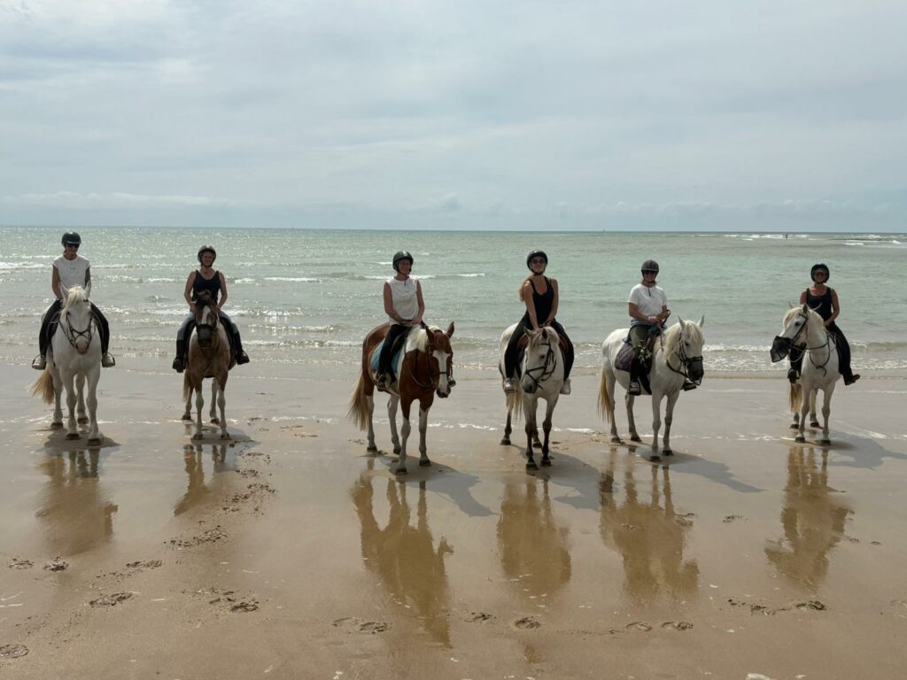 Organisation anniversaire et baptême Nouvelle-Aquitaine